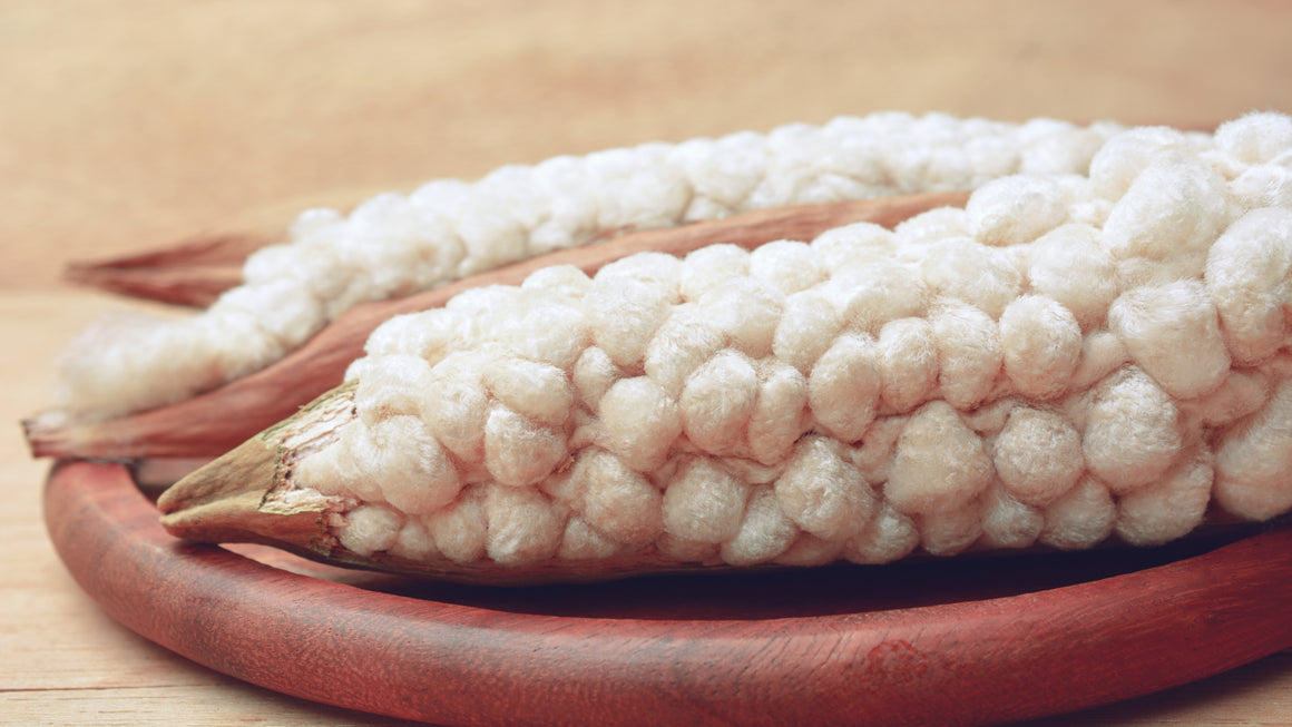 Kapok: vše o vláknu budoucnosti