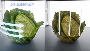 Maintains food taste, consistency and juiciness up to 99%* after 7 days like Day 1.