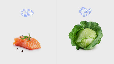 Elige la temperatura adecuada para cada alimento