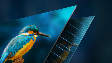 Calidad de imagen impresionante con contraste infinito