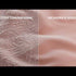 X Series 11 - Video