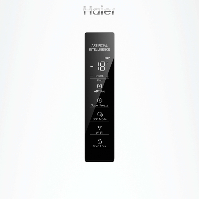 H4F306WDH1BE 37001651 3