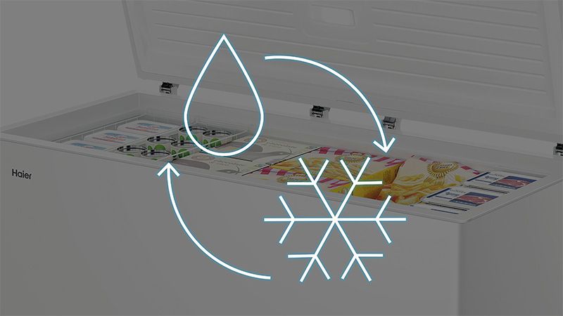 Convert your freezer into a refrigerator