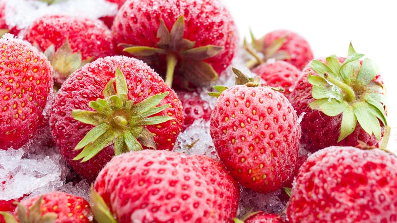 Fast Freeze-Technologie