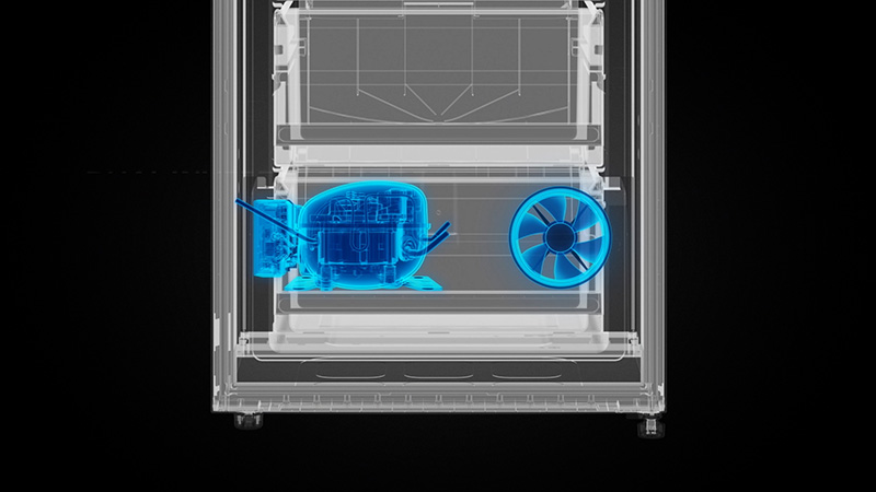 Refined Efficiency, Superior Preservation