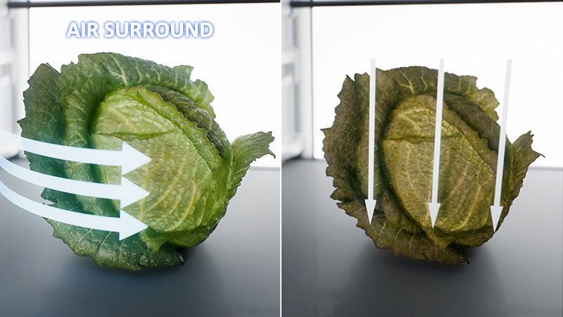 Nechajte vzduch starať sa o čerstvosť vašich potravín