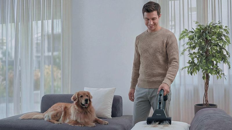 Ideal for Pet Hair removal