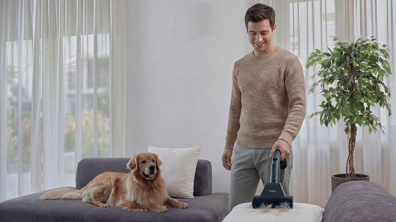 Ideal for Pet Hair removal