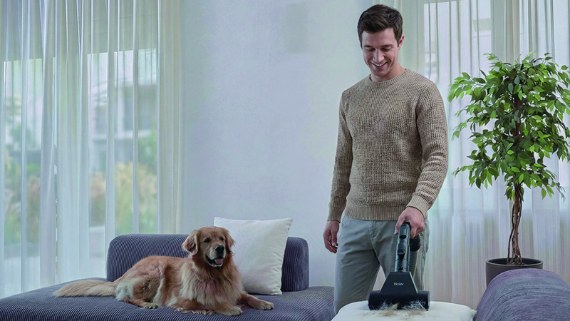 Ideal for Pet Hair removal