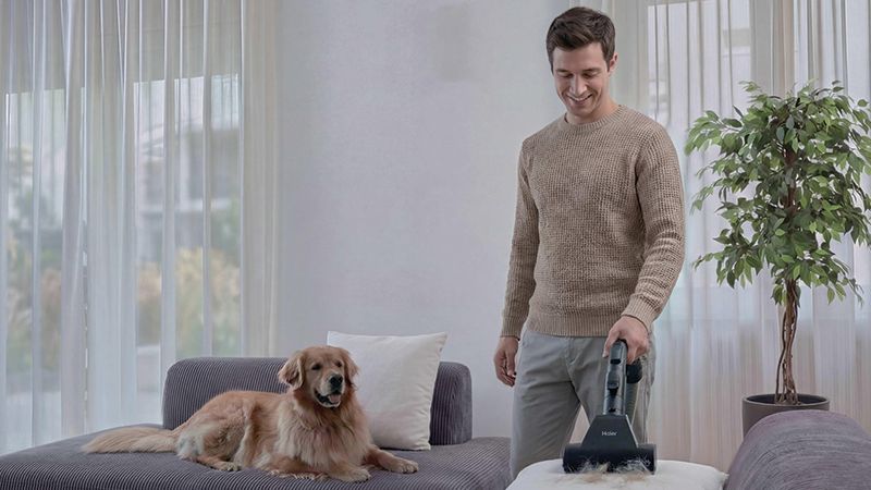 Ideal for Pet Hair removal