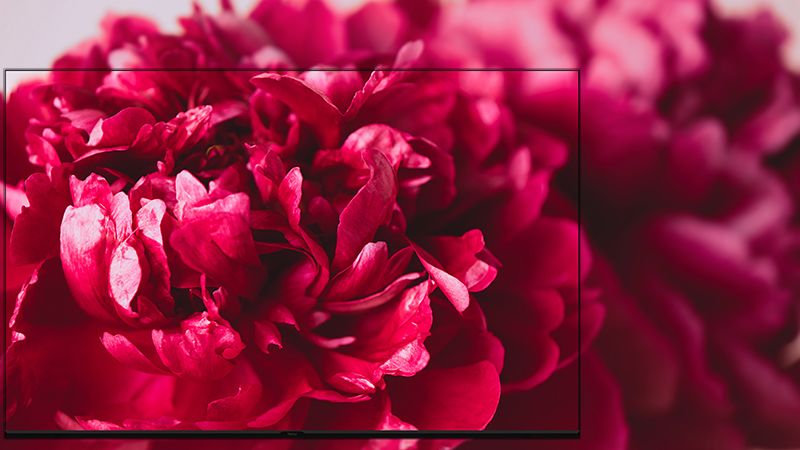Stunning 4K clarity