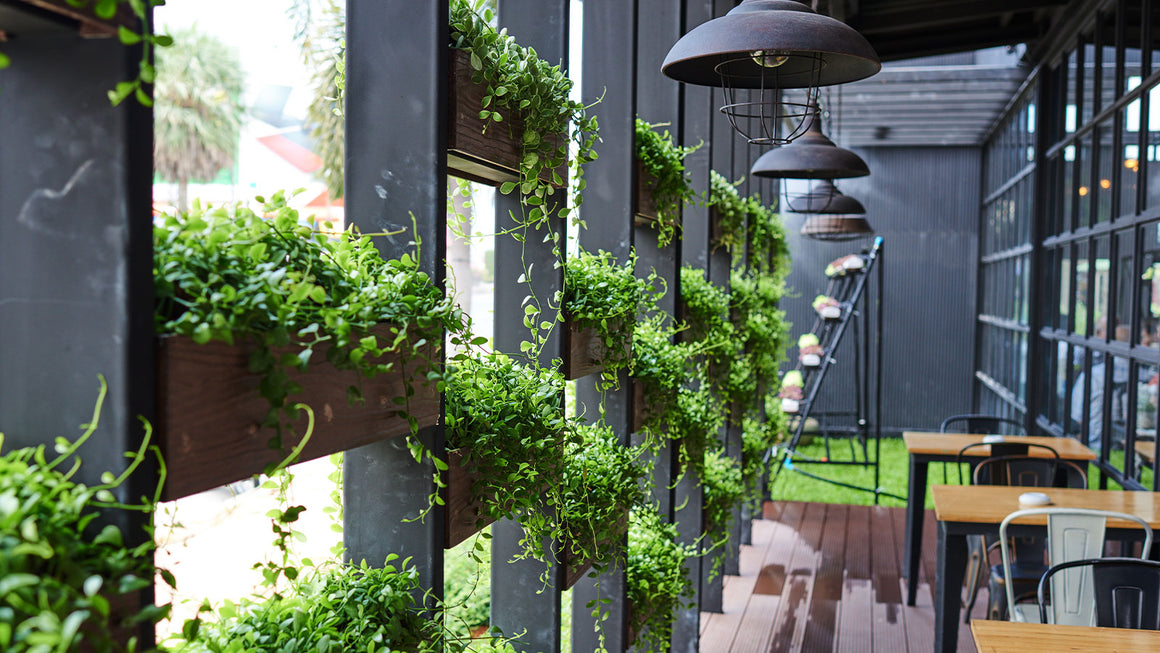 Eco design