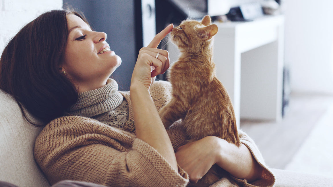 Come togliere i peli degli animali dai vestiti grazie ad una lavatrice connessa