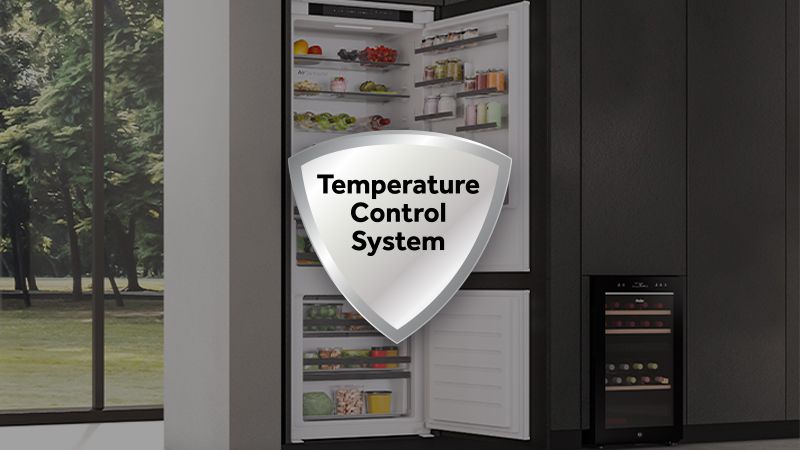 Control de la temperatura